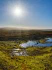 Iceland. The Steingrimsfjardarheidi during autumn. Art Print